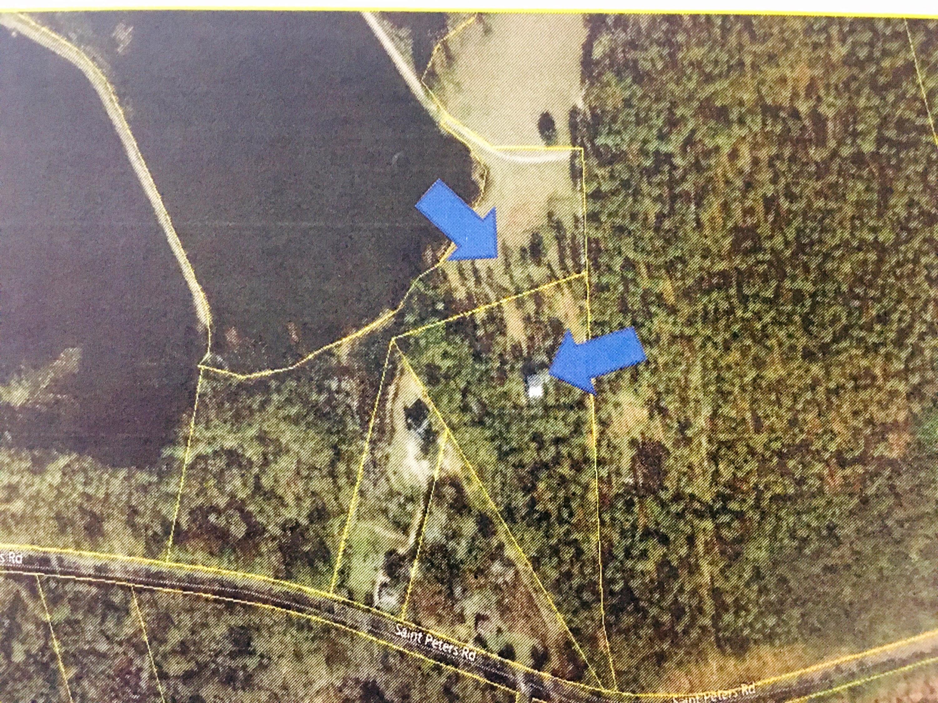 563 St Peters Road Walterboro, SC 29488 - Photo 1 of 1 563 Saint Peters Road