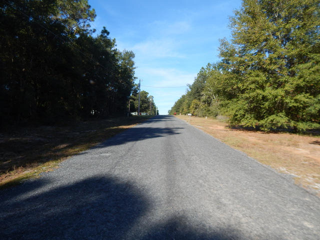 1156 Country Living Road Baker, FL 32531 - Photo 3 of 11 a view of an outdoor space and a yard