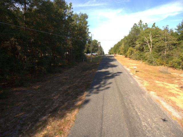 1156 Country Living Road Baker, FL 32531 - Photo 8 of 11 a view of road and yard
