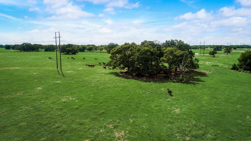 1 Co Road Kaufman, TX 75142 - Photo 7 of 7 a view of a park with large trees