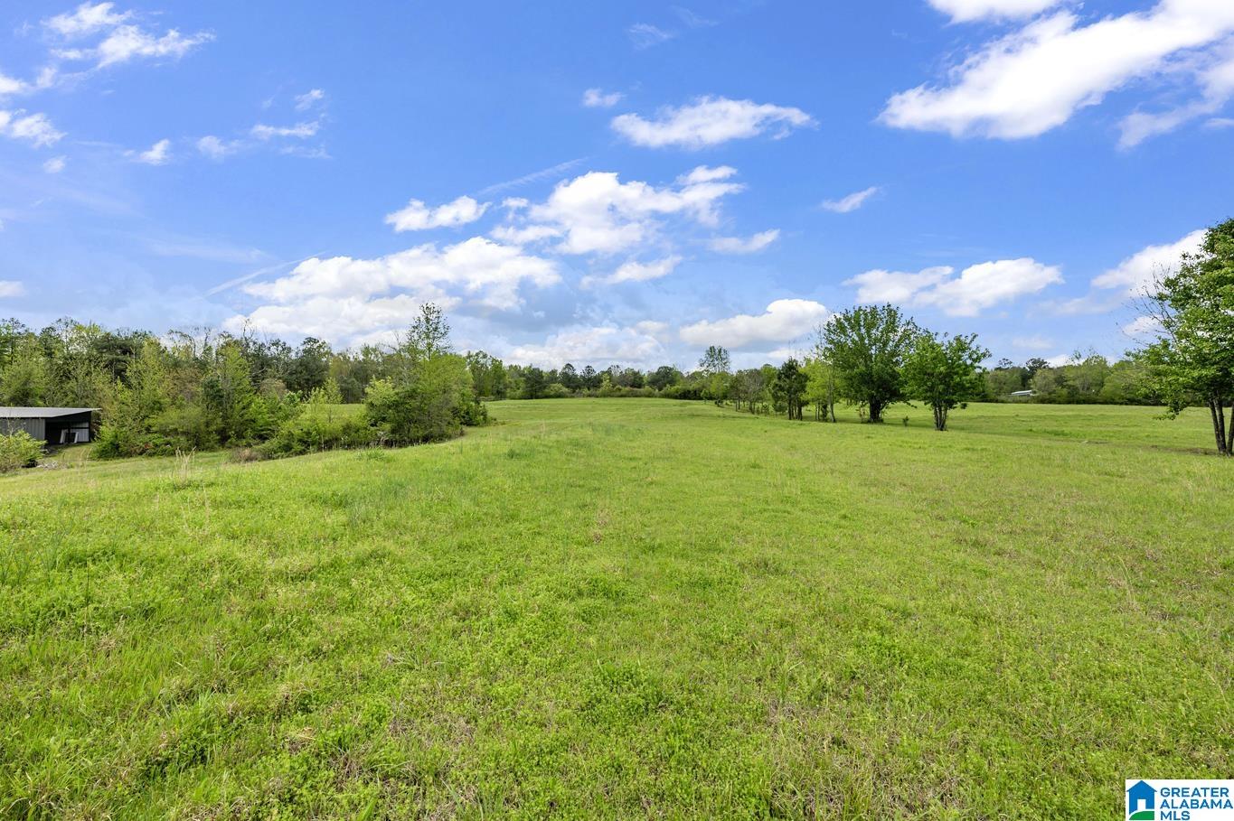 6720 Highway 27 Springville Al Springville, AL 35146 - Photo 12 of 33