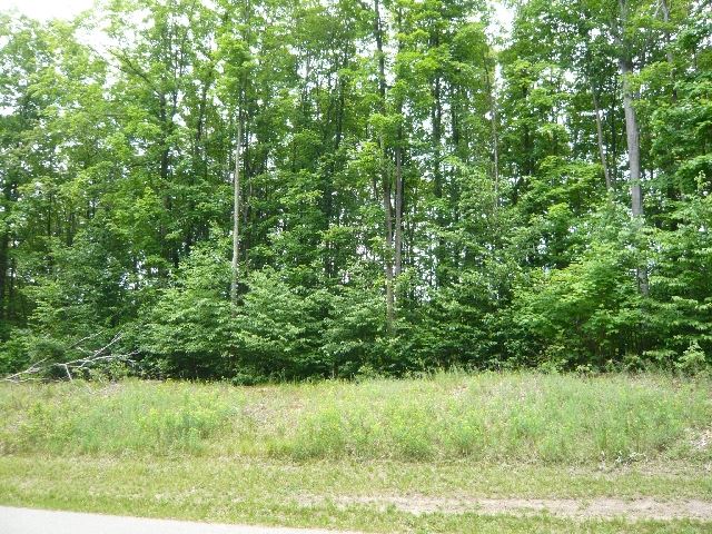 127-128 Raptor Run Bellaire, MI 49615 - Photo 29 of 36