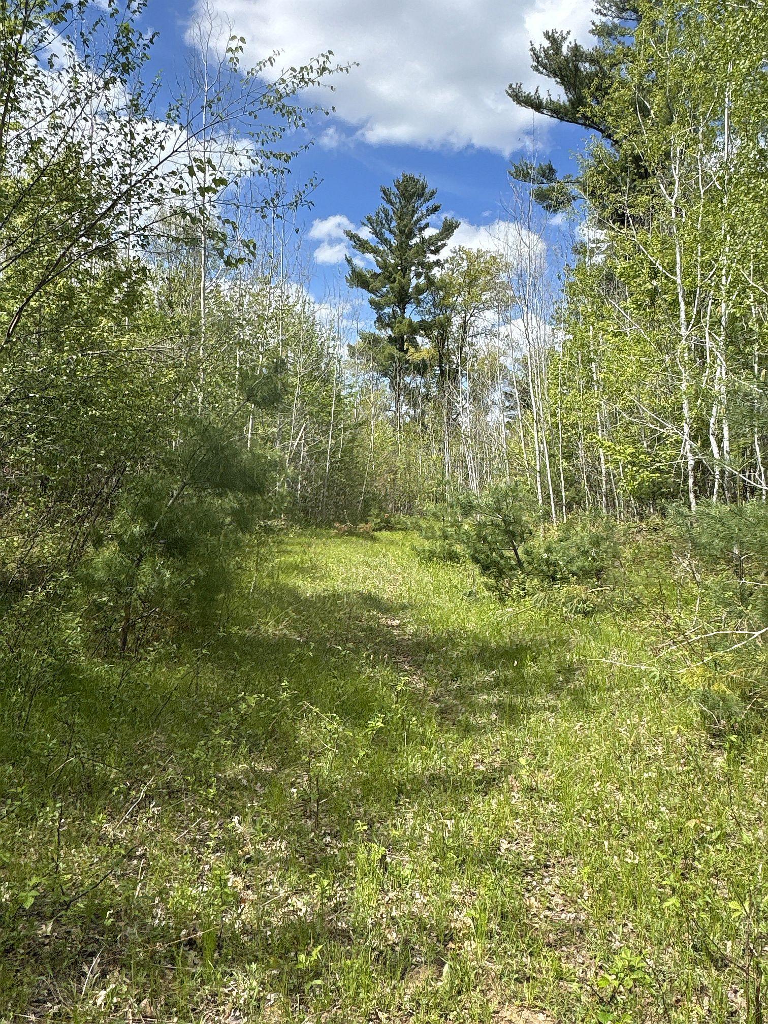 25275 Bruss Road Webster, WI 54893 - Photo 11 of 36
