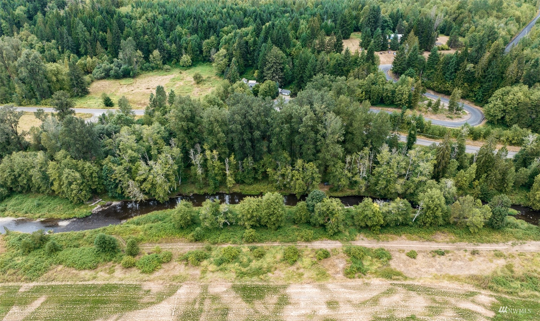 0 State Route 508 Chehalis, WA 98532 - Photo 18 of 21 a view of a yard with plants and large trees