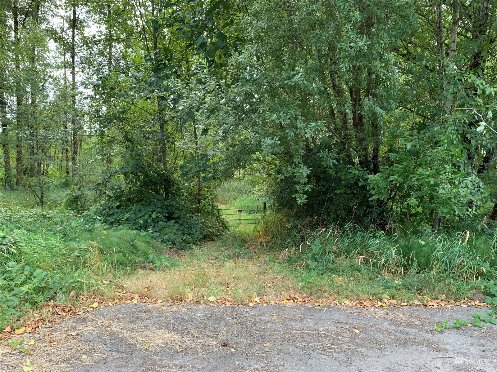 0 State Route 508 Chehalis, WA 98532 - Photo 2 of 21 a view of a yard with large trees