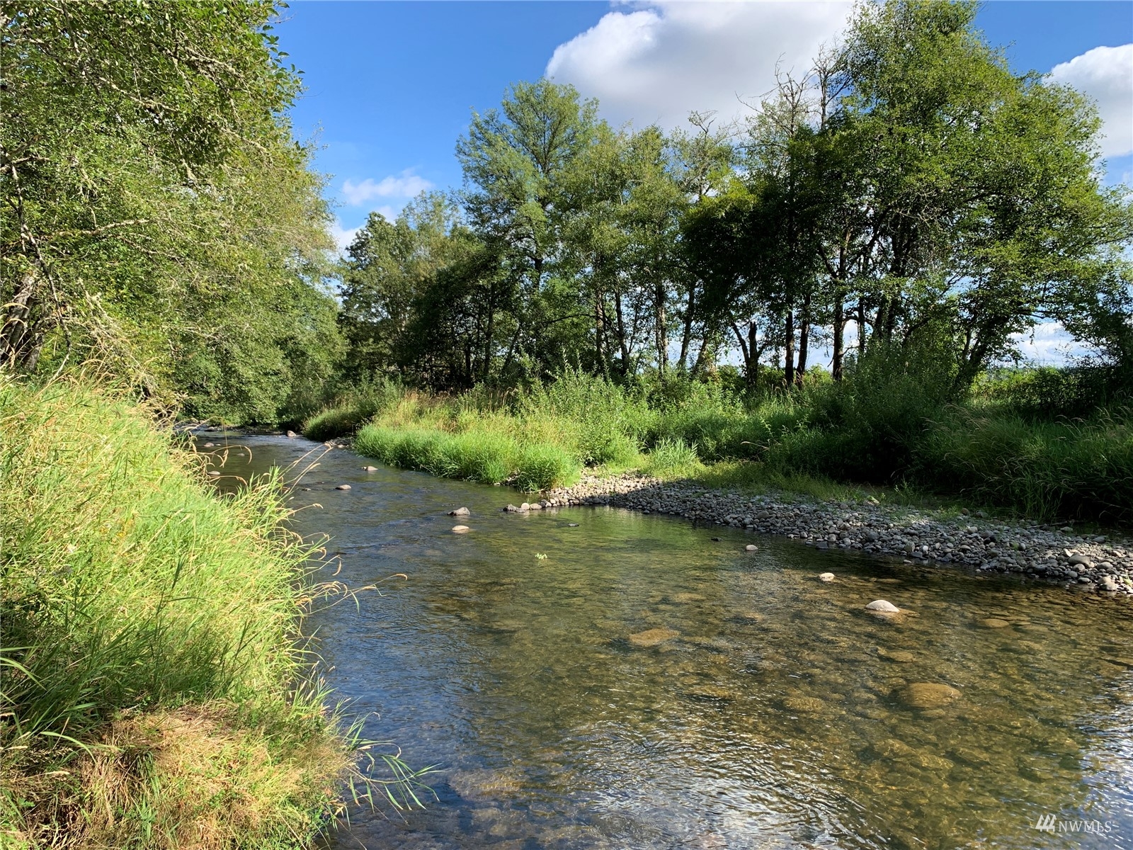 0 State Route 508 Chehalis, WA 98532 - Photo 7 of 21 a view of a street with a tree