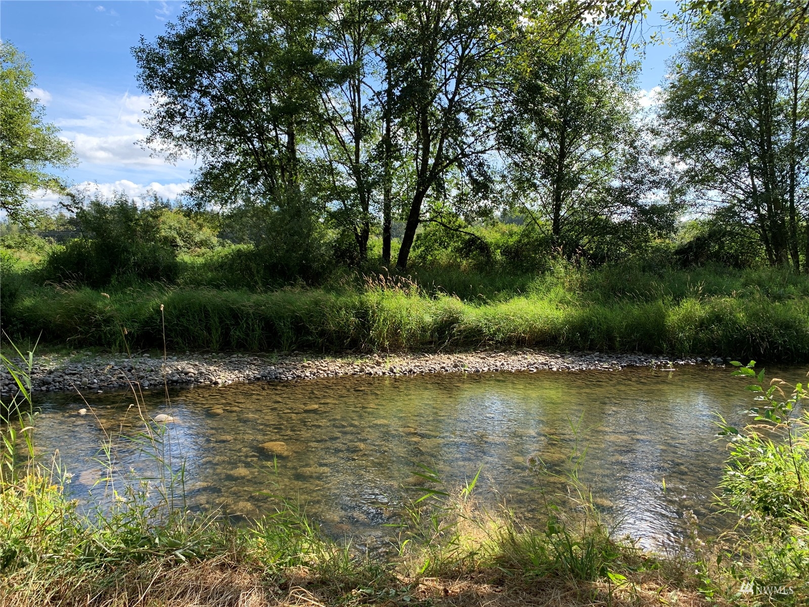 0 State Route 508 Chehalis, WA 98532 - Photo 8 of 21 a view of a lake with a yard