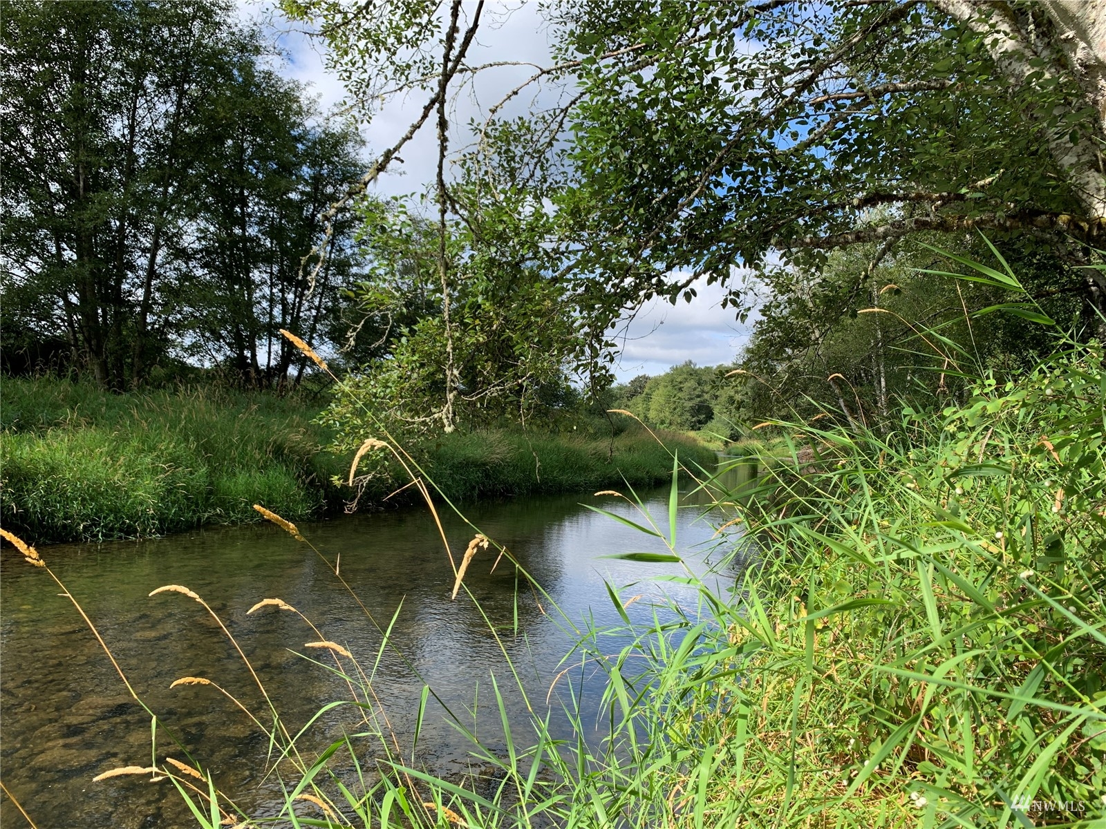 0 State Route 508 Chehalis, WA 98532 - Photo 9 of 21 a view of a lake with a yard