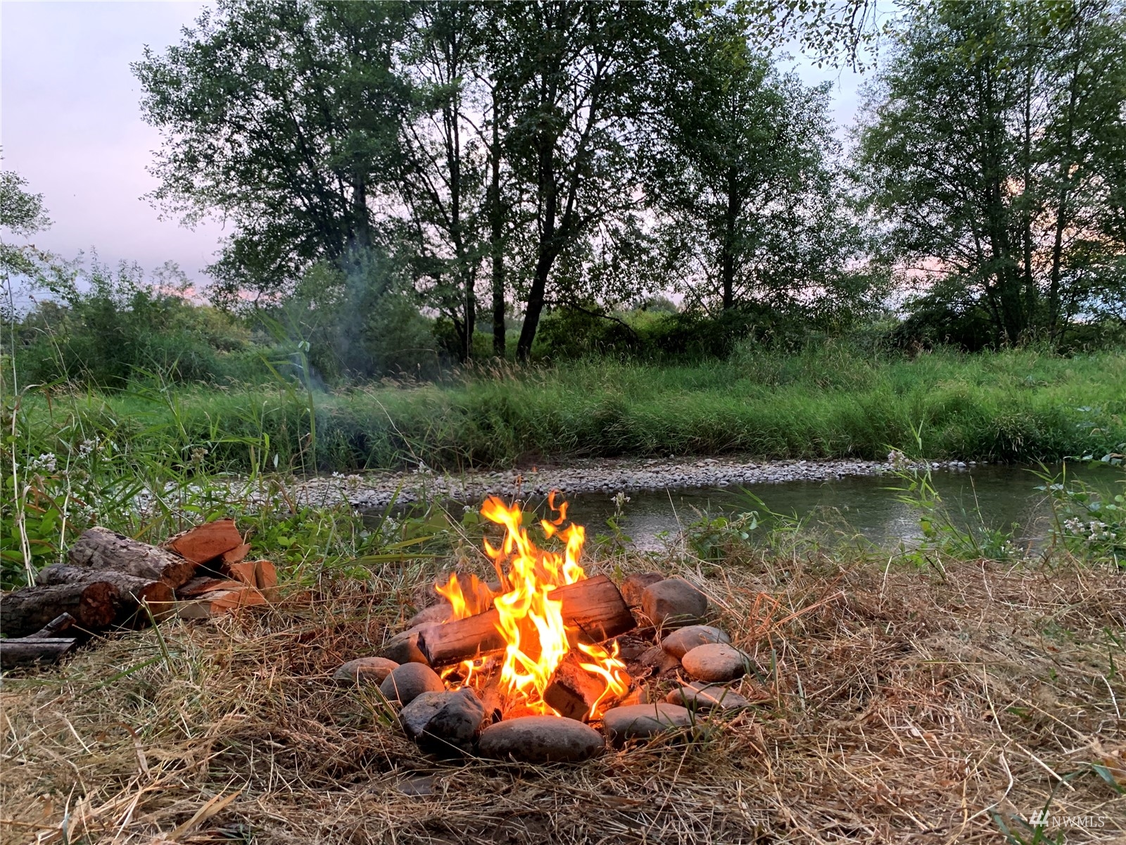 0 State Route 508 Chehalis, WA 98532 - Photo 10 of 21 a view of a lake with a forest