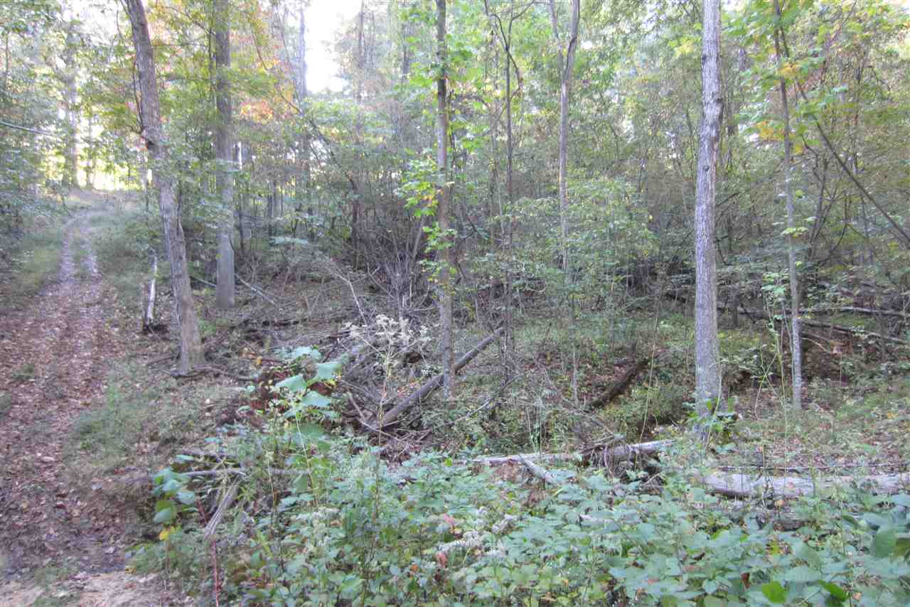 0 West Porter Ridge Road Spencer, IN 47460 - Photo 3 of 11