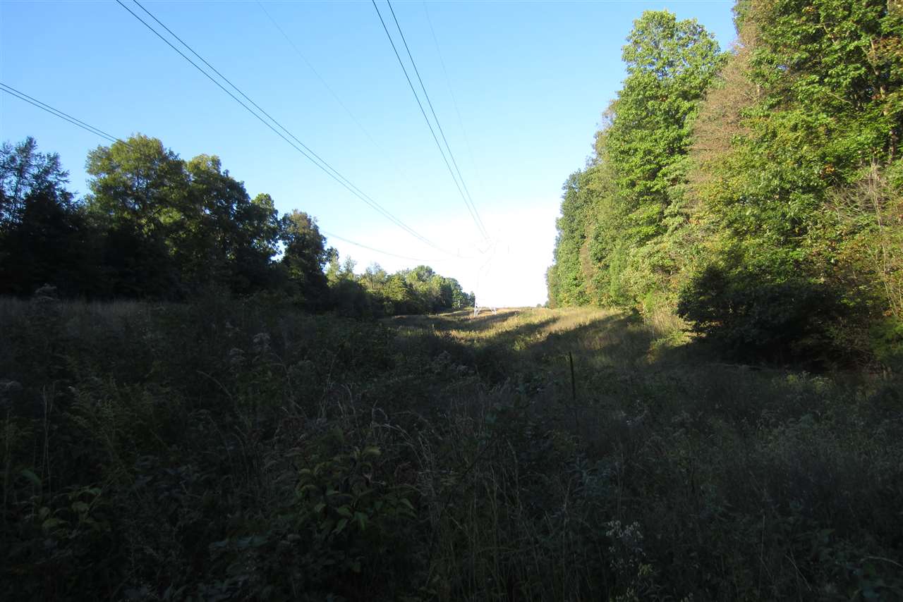 0 West Porter Ridge Road Spencer, IN 47460 - Photo 4 of 11