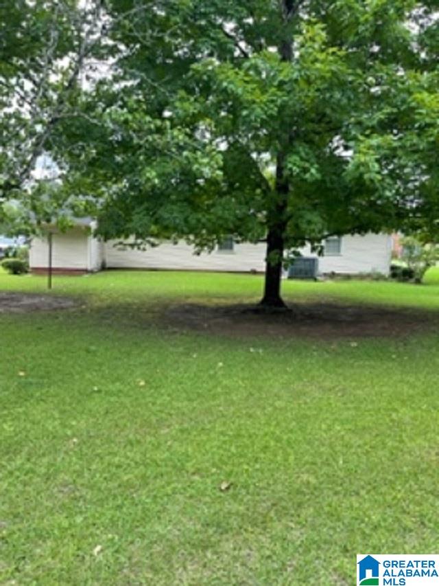 303 Herbert Street Demopolis, AL 36732 - Photo 17 of 18