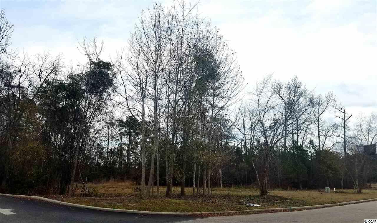 Lot 4 Co-Op Road Myrtle Beach, SC 29588 - Photo 3 of 6 Gallery Image 3
