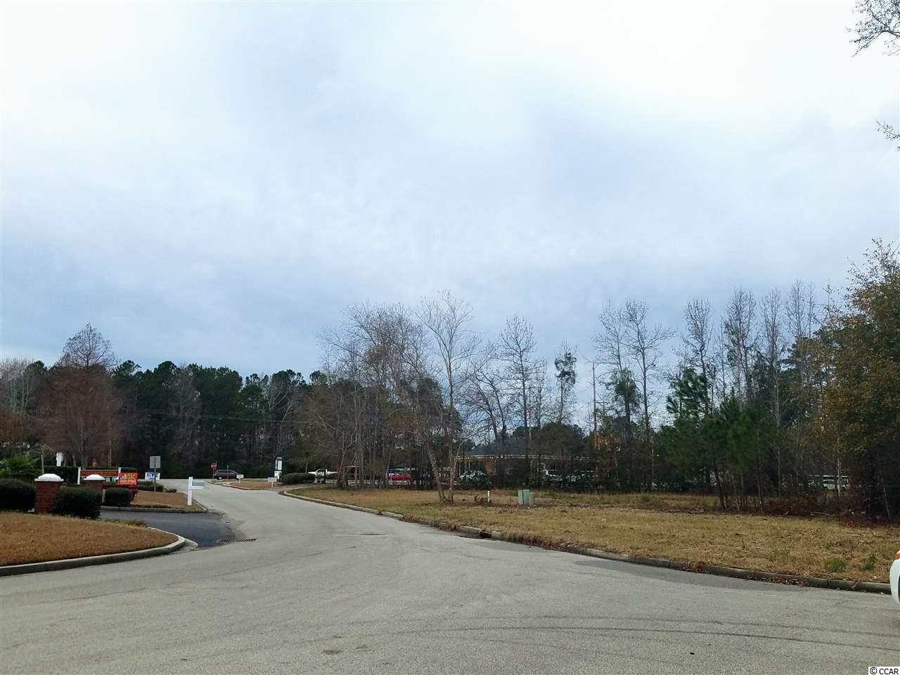 Lot 4 Co-Op Road Myrtle Beach, SC 29588 - Photo 4 of 6 Gallery Image 4