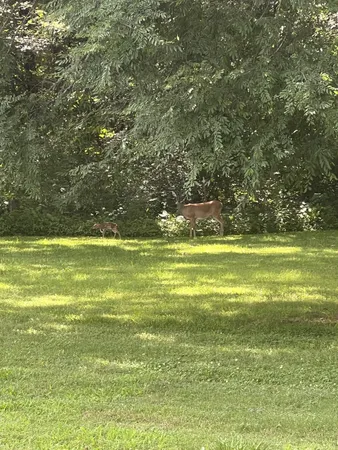 $849,999 | 2320 Snake Town Road, Chapel Hill, TN 37034