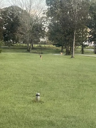 $849,999 | 2320 Snake Town Road, Chapel Hill, TN 37034