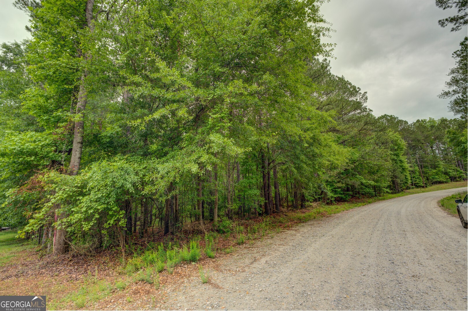 0 Jeffries Road, Unit TRACT A 32 55 Shady Dale, GA 31085 - Photo 3 of 9 a view of a forest with trees in front of it