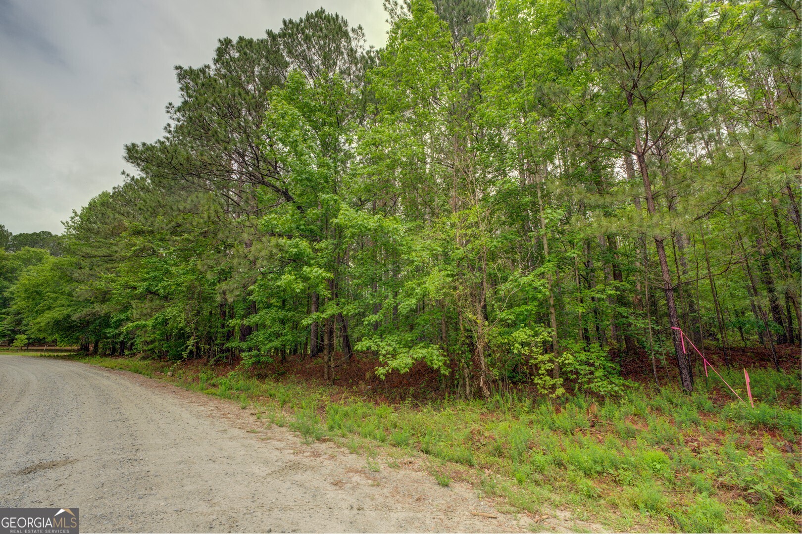 0 Jeffries Road, Unit TRACT A 32 55 Shady Dale, GA 31085 - Photo 4 of 9 a view of a yard with plants and large trees