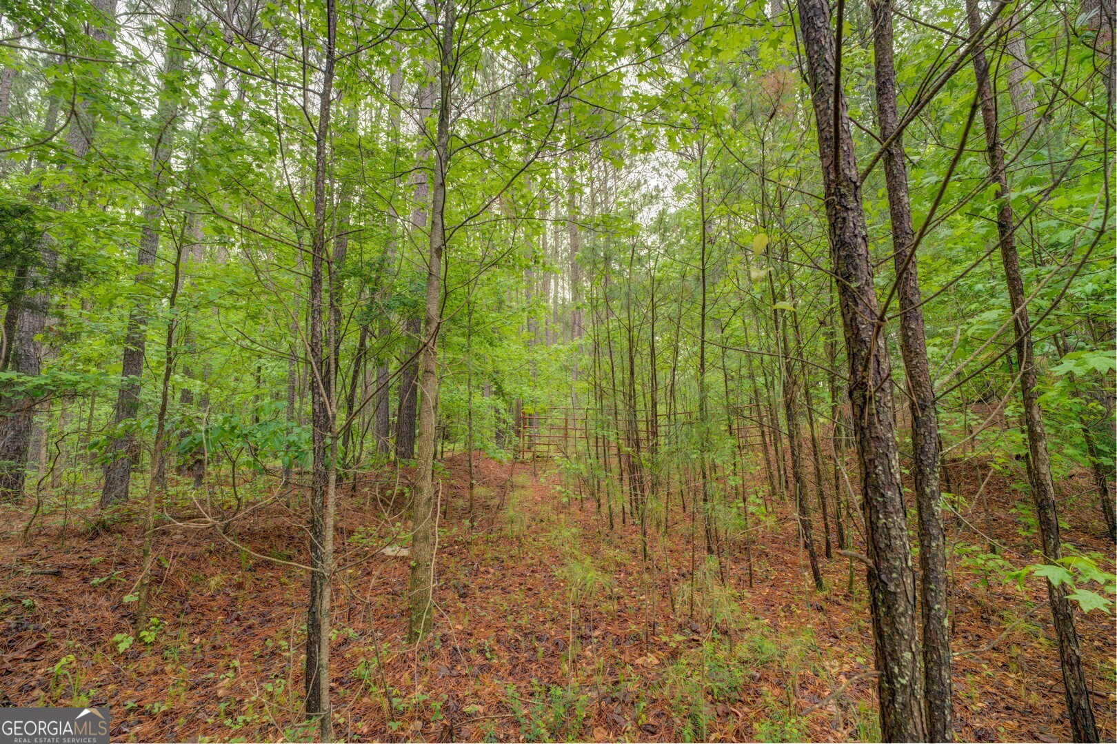 0 Jeffries Road, Unit TRACT A 32 55 Shady Dale, GA 31085 - Photo 6 of 9