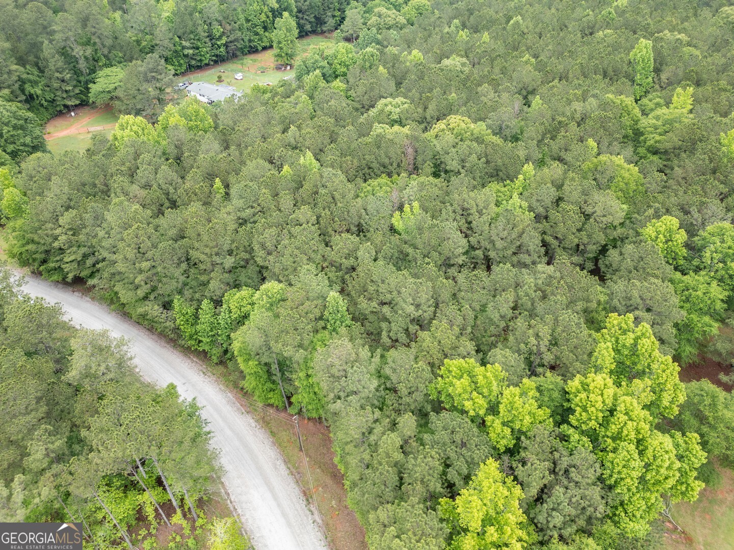 0 Jeffries Road, Unit TRACT A 32 55 Shady Dale, GA 31085 - Photo 7 of 9 a view of a forest from a window