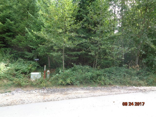 0 Misty Hill Road, Unit 9 Toutle, WA 98649 - Photo 2 of 9