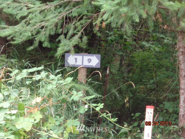 0 Misty Hill Road, Unit 9 Toutle, WA 98649 - Photo 3 of 9