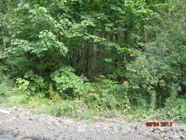 0 Misty Hill Road, Unit 9 Toutle, WA 98649 - Photo 5 of 9