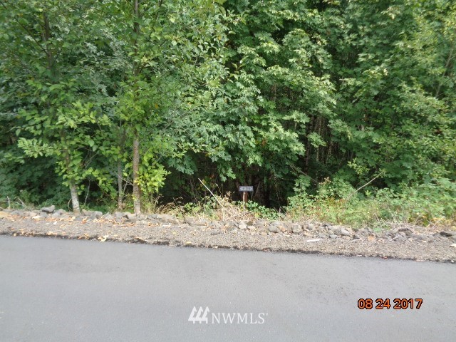 0 Misty Hill Road, Unit 9 Toutle, WA 98649 - Photo 6 of 9