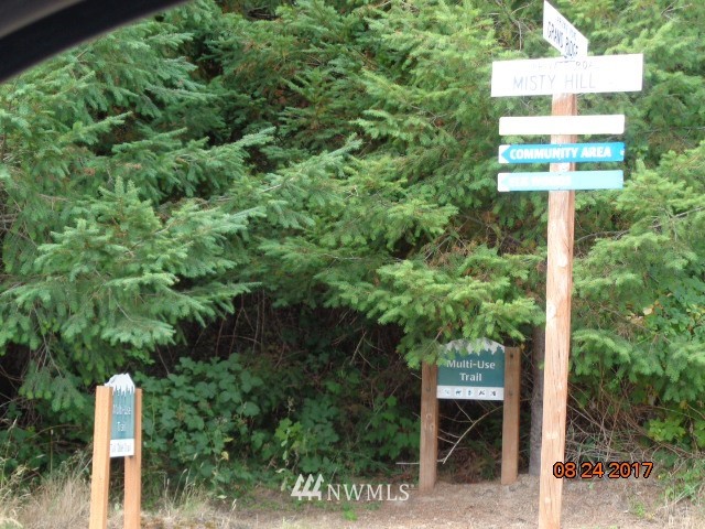 0 Misty Hill Road, Unit 9 Toutle, WA 98649 - Photo 7 of 9