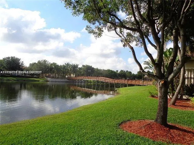 a view of backyard of house