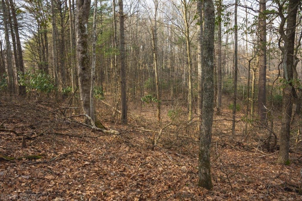 3 Long Mountain Road Southwest Willis, VA 24380 - Photo 48 of 66 Gallery Image 48