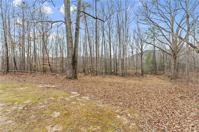 $600,000 | 232 Happy Trails Way, Jasper, GA 30143