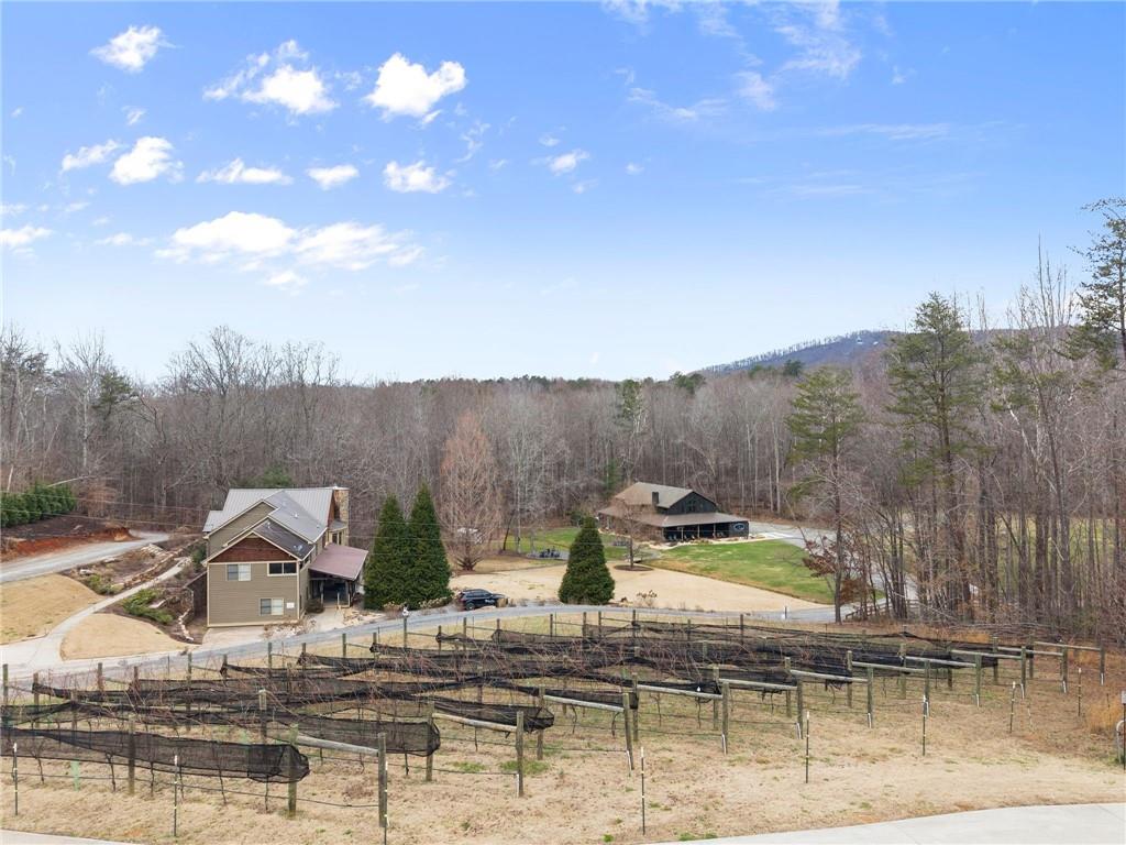 232 Happy Trails Way Jasper, GA 30143 - Photo 43 of 51