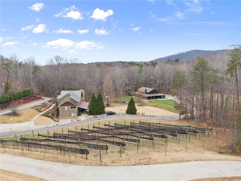 232 Happy Trails Way Jasper, GA 30143 - Photo 45 of 51