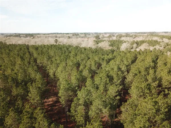 a view of a green space with sea