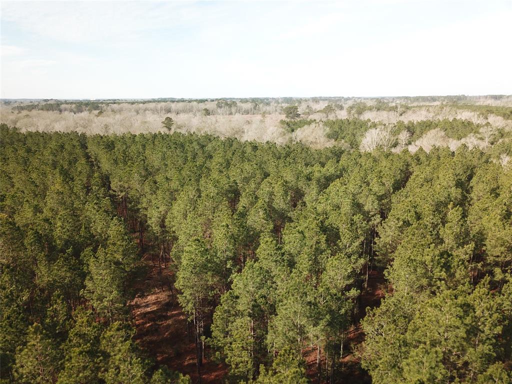 0 Countree Road Zwolle, LA 71486 - Photo 1 of 21 a view of a green space with sea