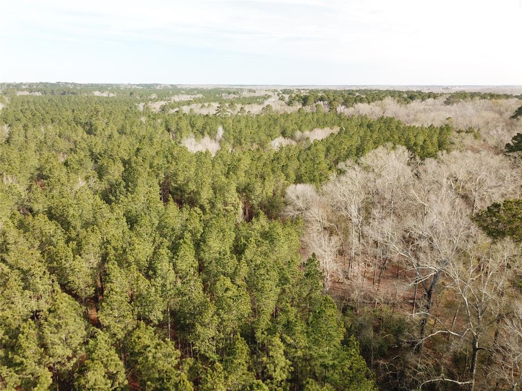 0 Countree Road Zwolle, LA 71486 - Photo 12 of 21 an aerial view of residential houses with outdoor space and trees