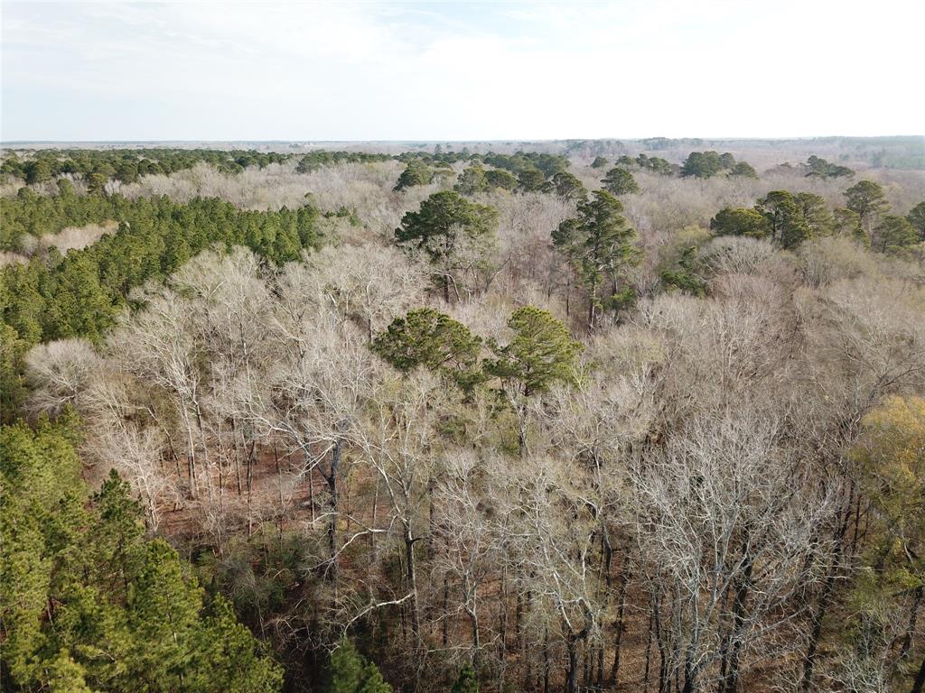 0 Countree Road Zwolle, LA 71486 - Photo 13 of 21 a view of mountain view