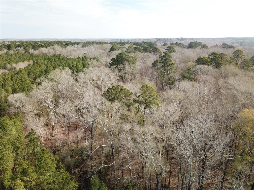 0 Countree Road Zwolle, LA 71486 - Photo 14 of 21 an aerial view of mountain with trees in the background