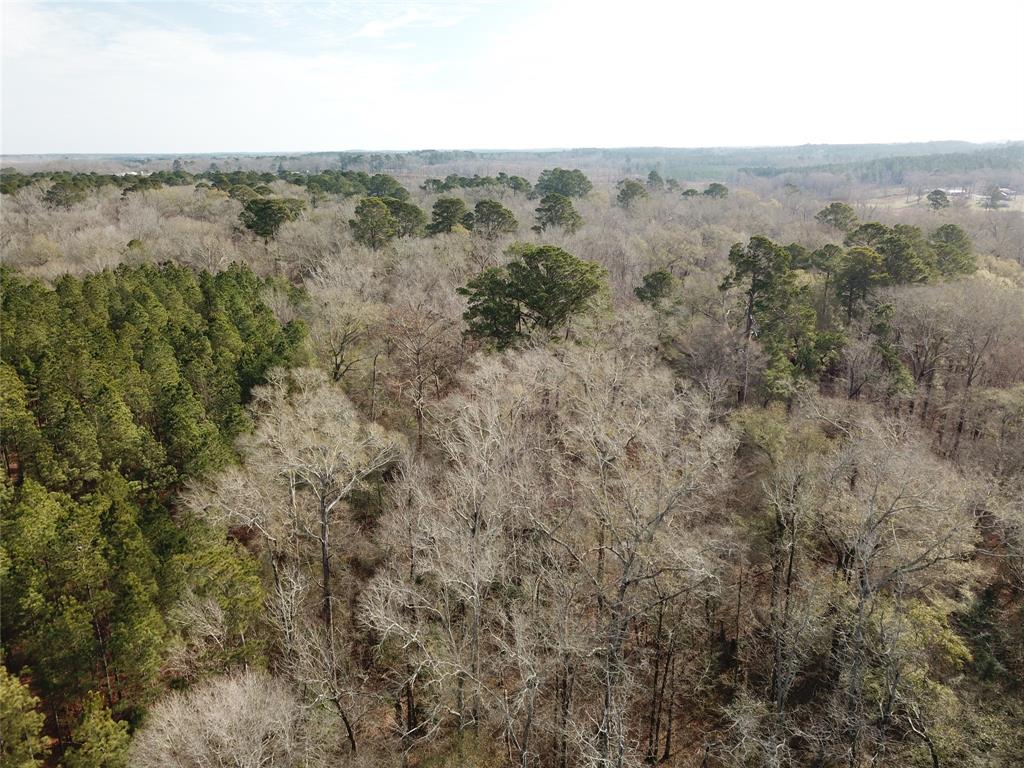 0 Countree Road Zwolle, LA 71486 - Photo 15 of 21 an aerial view of mountain with trees around