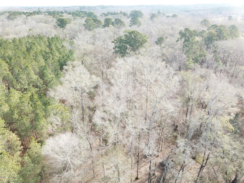 0 Countree Road Zwolle, LA 71486 - Photo 16 of 21 a view of a dry field with trees in the background