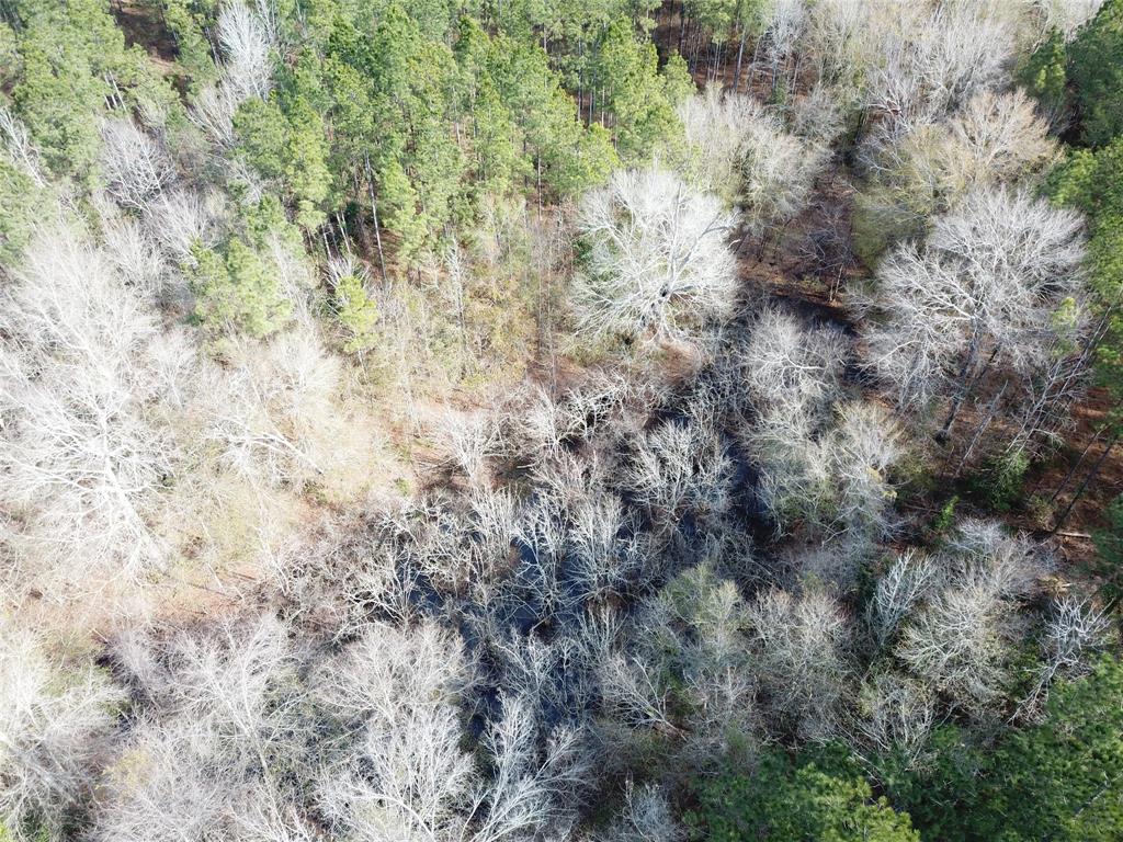 0 Countree Road Zwolle, LA 71486 - Photo 17 of 21 a view of a field with lots of bushes