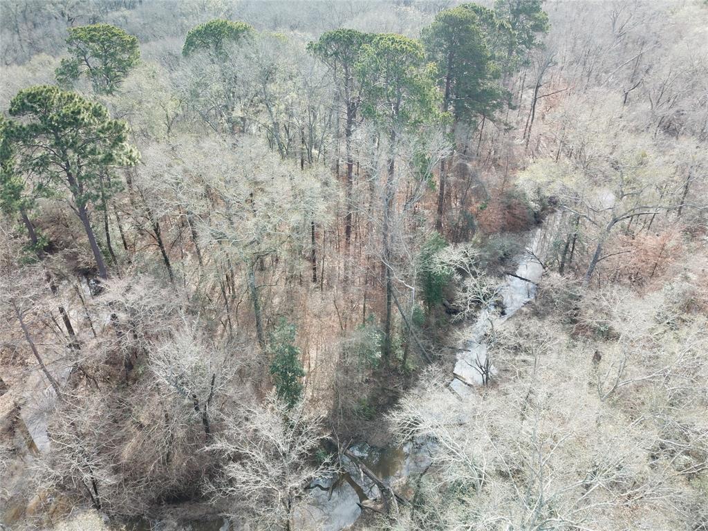 0 Countree Road Zwolle, LA 71486 - Photo 19 of 21