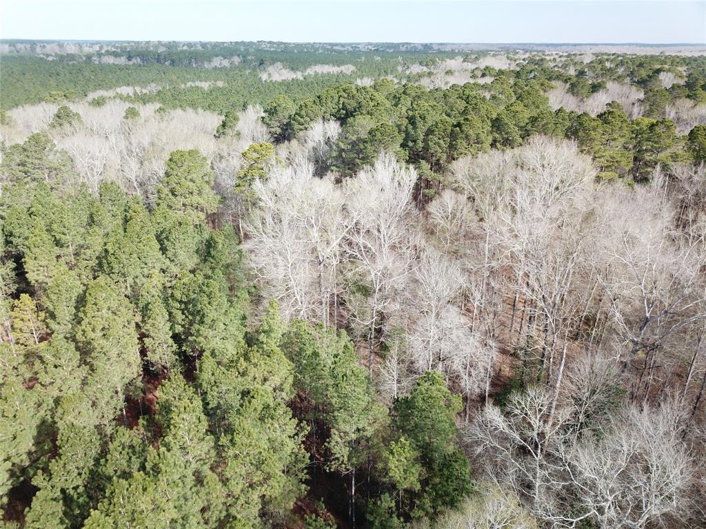 0 Countree Road Zwolle, LA 71486 - Photo 20 of 21 a view of lake with green space