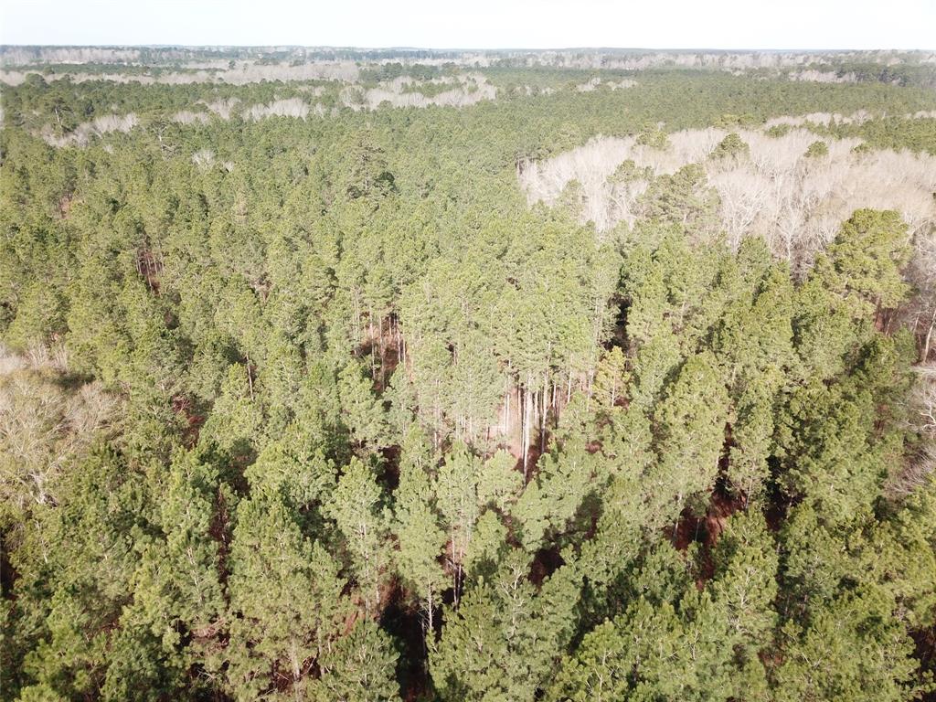 0 Countree Road Zwolle, LA 71486 - Photo 21 of 21 a view of lake with green space