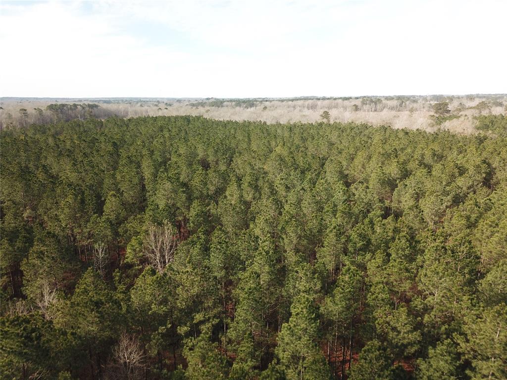 0 Countree Road Zwolle, LA 71486 - Photo 3 of 21 a view of a green field