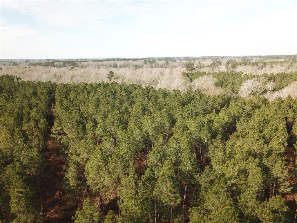 0 Countree Road Zwolle, LA 71486 - Photo 5 of 21 a view of a large body of water with a building in the background