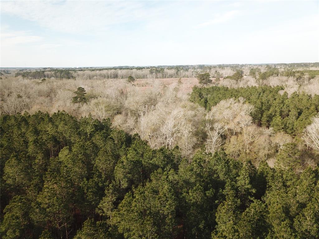 0 Countree Road Zwolle, LA 71486 - Photo 6 of 21