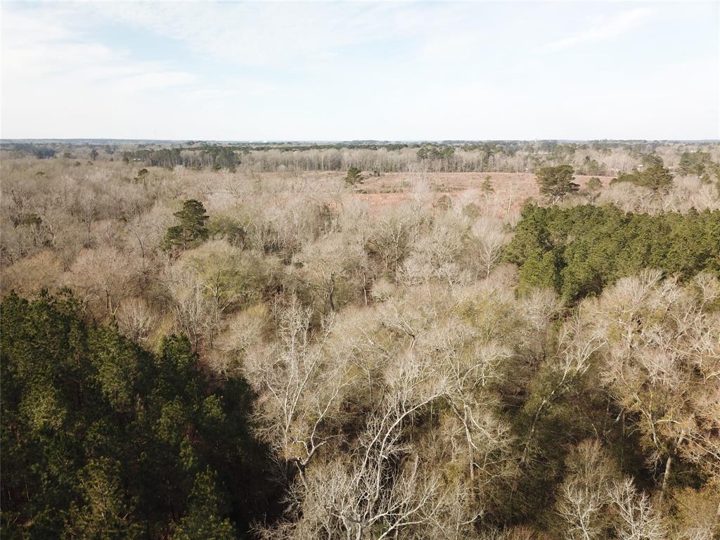 0 Countree Road Zwolle, LA 71486 - Photo 7 of 21 an aerial view of houses covered in trees
