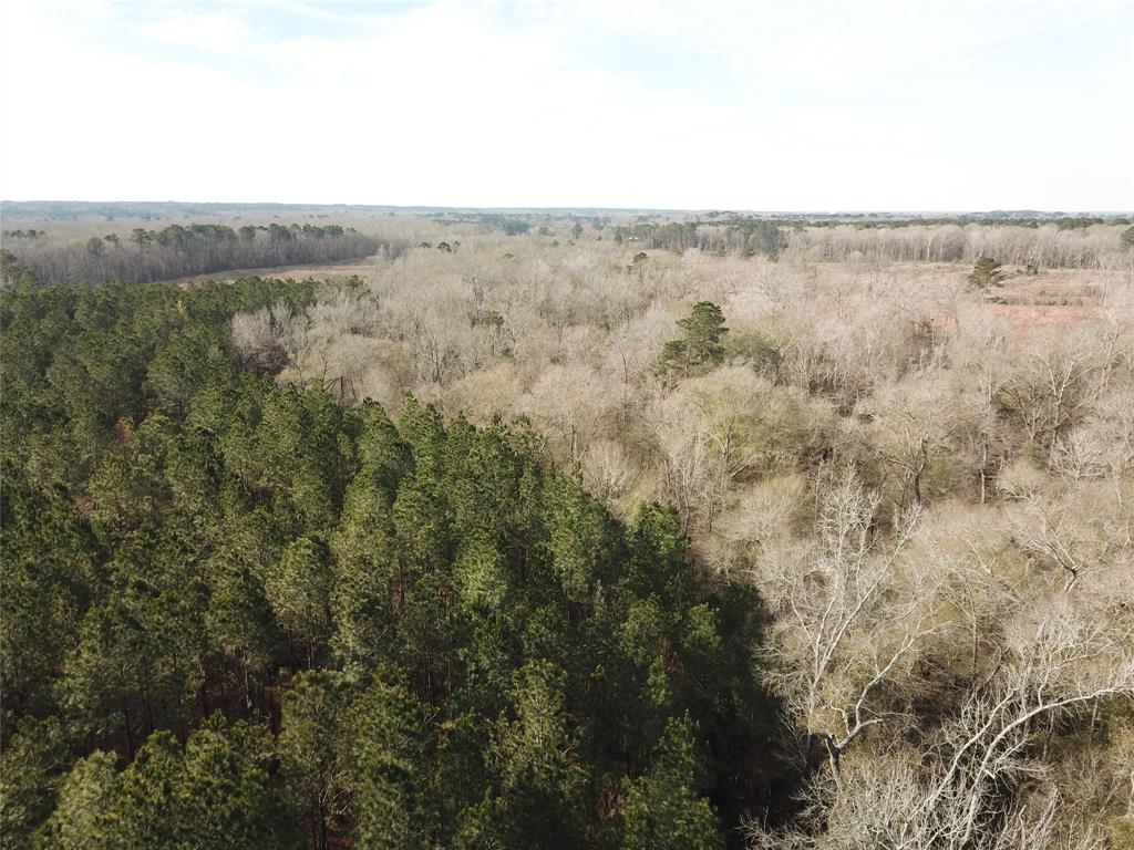 0 Countree Road Zwolle, LA 71486 - Photo 8 of 21 a view of a dry yard with green space